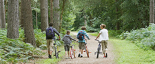 Family walking bikes down wooded path